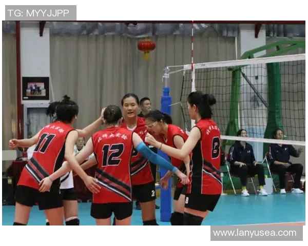 深入探讨北京排球队的团队配合与战术执行能力分析